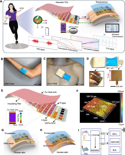 Wearable Tech Health Monitoring