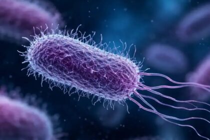 Global AMR Fund Wins 12 Indian Innovations to Fight Antibiotic Resistance | The Mobile Times