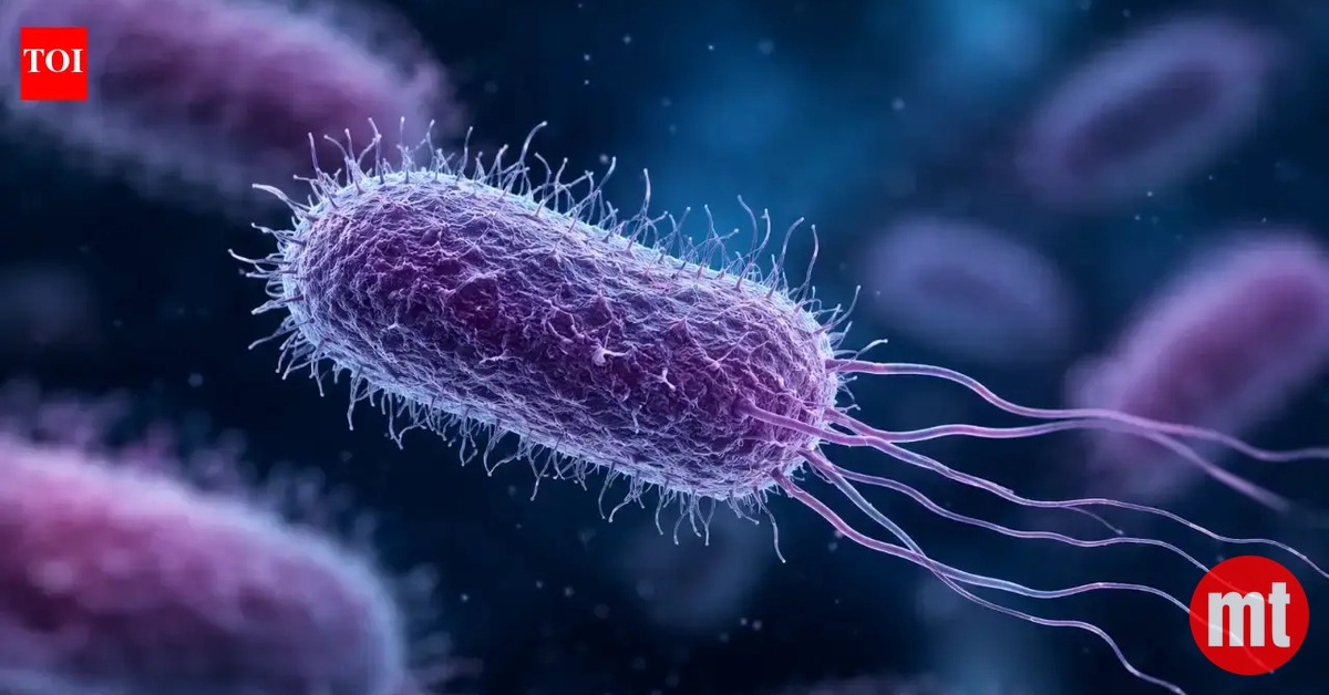 Global AMR Fund Wins 12 Indian Innovations to Fight Antibiotic Resistance | The Mobile Times