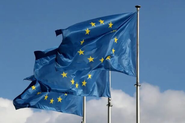 EU Boosts India Semiconductor Partner Ties, Targeting 20% Chip Workforce | The Mobile Times