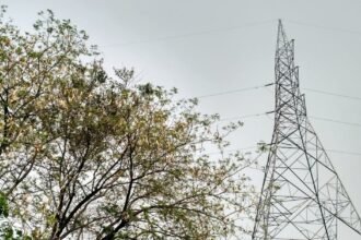 Mivi One 5G's launch date and design revealed - GSMArena.com news - GSMArena.com | The Mobile Times