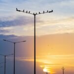 Mivi to enter Indian smartphone market this month with the launch of Mivi One 5G - GSMArena.com news - GSMArena.com | The Mob